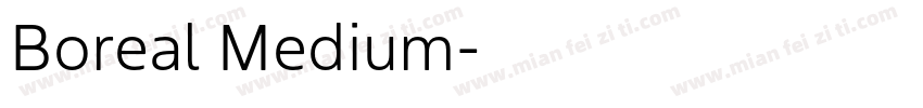 Boreal Medium字体转换